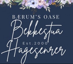 BEKKESTUA HAGESENTER AS